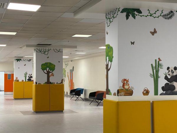 NESİBE AYDIN OKULLARI PROJE (1)